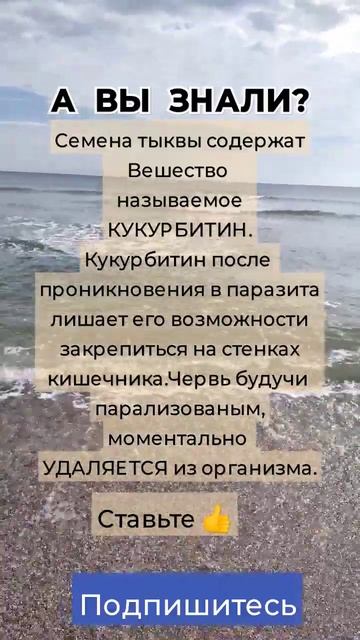А ВЫ ЗНАЛИ 🍊СЕМЕНА🍊 ТЫКВЫ 🍊 #рек#здоровье #помощь#со смотреть онлайн