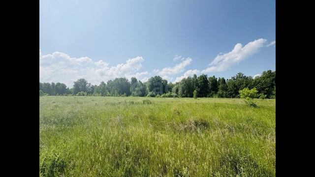 4704383 смотреть онлайн