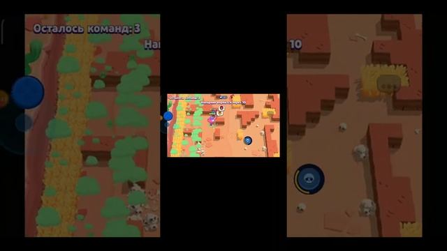 инфа о недели подарков и качание ель примо смотреть онлайн