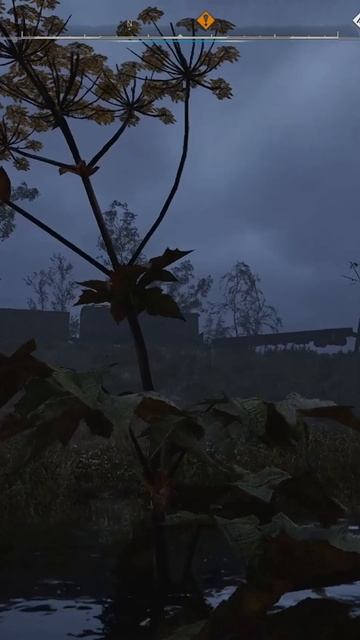 БОРЩЕВИК #игры #сталкер2 #stalker смотреть онлайн