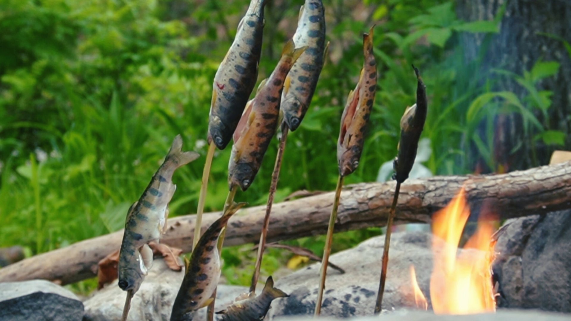 Горная рыбалка в Приморье! Пеструшка на ультралайт. смотреть онлайн