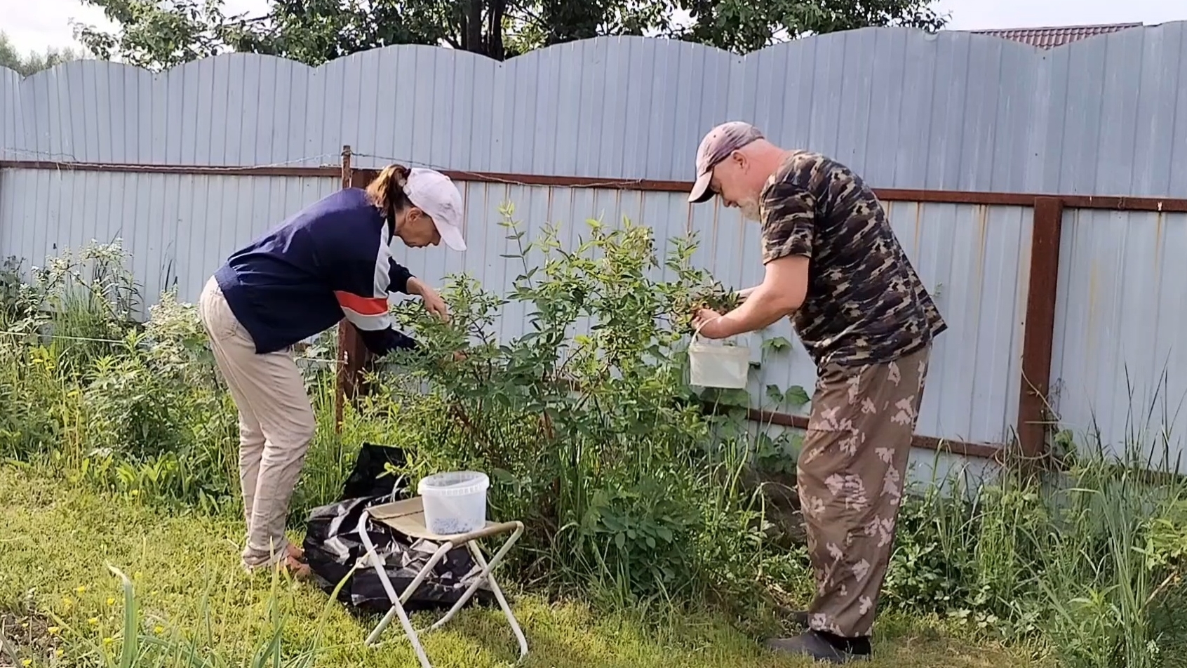 Я сбежал от сбора ягод))) Открыли сезон купания. 31-05-2025 смотреть онлайн