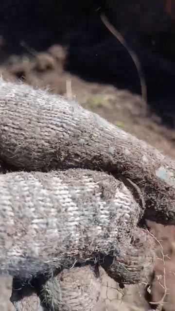 Шурф, бу-гу-гу, СЕРЕБРО... #металлоискатель #metaldetecting #мд #