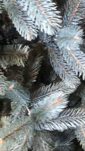 Искусственная ель "Премиум микс" голубая (Видео обзор) смотреть онлайн