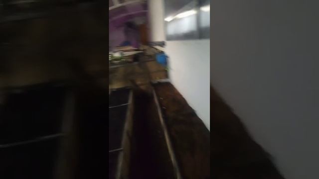 04.02.25 готовлю грядки для огурцов. Часть3 Эксперименты д смотреть онлайн