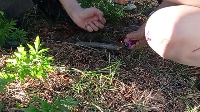 битва за подъезд сезон 1 серия 4 часть 1 (лес)