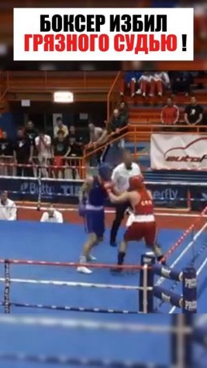 БОКСЕР ИЗБИЛ СУДЬЮ