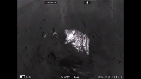 RikaNV GTE новые бюджетные тепловизоры от RikaNV.