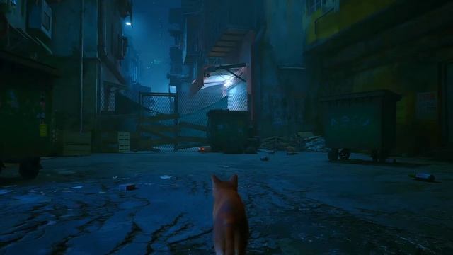 РОДИЛАСЬ КОТОМ! - ПЕРВЫЙ ВЗГЛЯД! - Stray 2022