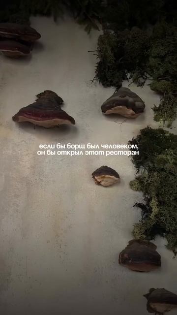 #еда #ресторан #ресторанмосква #русскаякухня смотреть онлайн