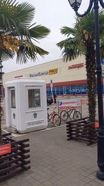 Пальмы.т/ц Красная Площадь.#shorts#Краснодар смотреть онлайн