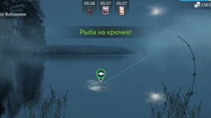 Как поймать рыбу капля в игре My Fishing world#fishing