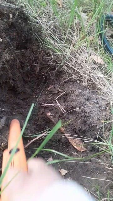 #коп #находка #Garrett #ATMAX смотреть онлайн