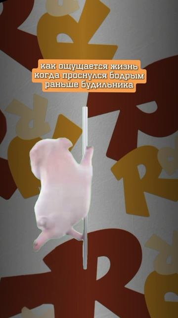 Екатерина | PusherSnack