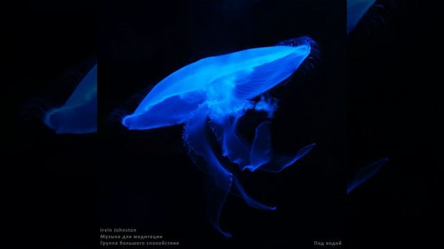 Затонувший корабль смотреть онлайн