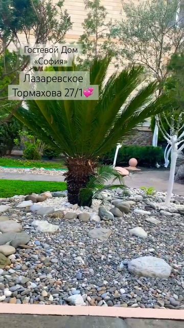 #travel #music #chill #nature #лазаревское #природа #сочи #сочисегод смотреть онлайн