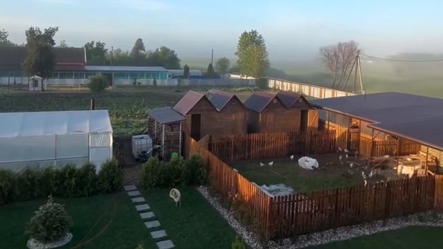 Какое волшебное утро на Кубани сказка #garden #gardenlife #дача