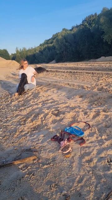 Когда шило в попе так и заиграло 😂#грюнендаль#овчарки смотреть онлайн