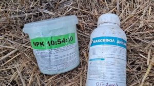 Если томаты в стрессе, чем их подкормить ?