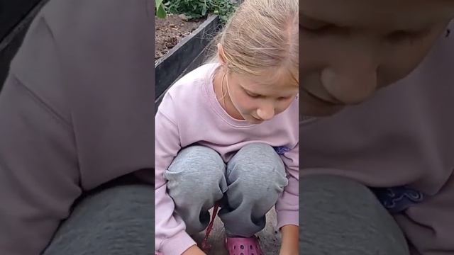 сирень из веточки смотреть онлайн