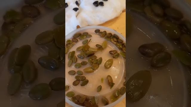 Золотой дождь смотреть онлайн