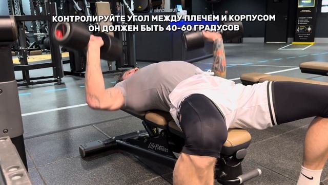 Жим лежа с гантелями смотреть онлайн