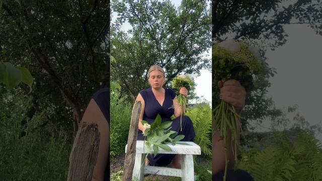 Букет нареченої із білих квітів (півонії, ромашки, буз?