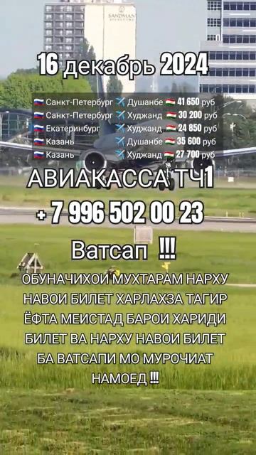 Нархи билет 16 декабрь #aviakassa_tj1 #авиакасса #dushanbe #shorts #top # смотреть онлайн