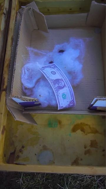 Minecraft Creeper Family - Vacation at Grandpa's! #minecraft #sadstory #family смотреть онлайн