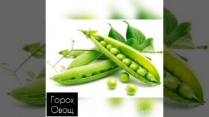 Фрукты, овощи, ягоды на букву Г