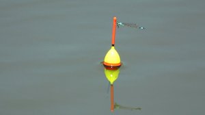 КРУПНЫЙ ПОДВАЛИЛ, ПОПЛАВОЧЕК УТОПИЛ. Крупный карась на поплавочную удочку. Рыбалка на поплавок.