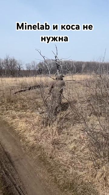 Секреты Minelab: об этом умалчивает производитель смотреть онлайн