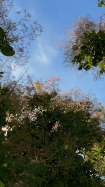 Майский солнечный день #россия #астраханскаяобласть #? смотреть онлайн