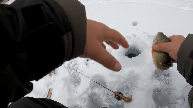 ЯРКИЕ БЕЗМОТЫЛКИ - то, что нужно рыбе по ПЕРВОМУ ЛЬДУ !!!