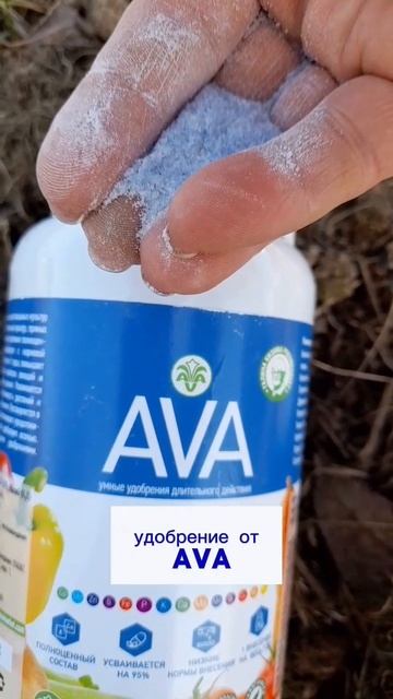 #дача #огород #рассада #цветы #клумба #удобрения #сад #ка смотреть онлайн