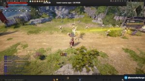 Гайд Black Desert / Сейдж, Мудрец (Пробуда) PVP