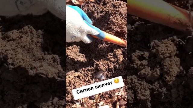 #поиск_монет #treasure #клад #шурф #в_поиске_золота #кладоис? смотреть онлайн