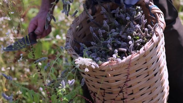 Oльга Евграфова (CEO Yarkost)