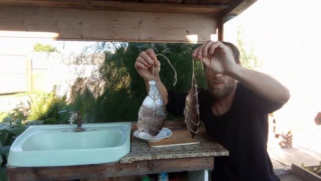 Коптим леща. Рыба горячего копчения.