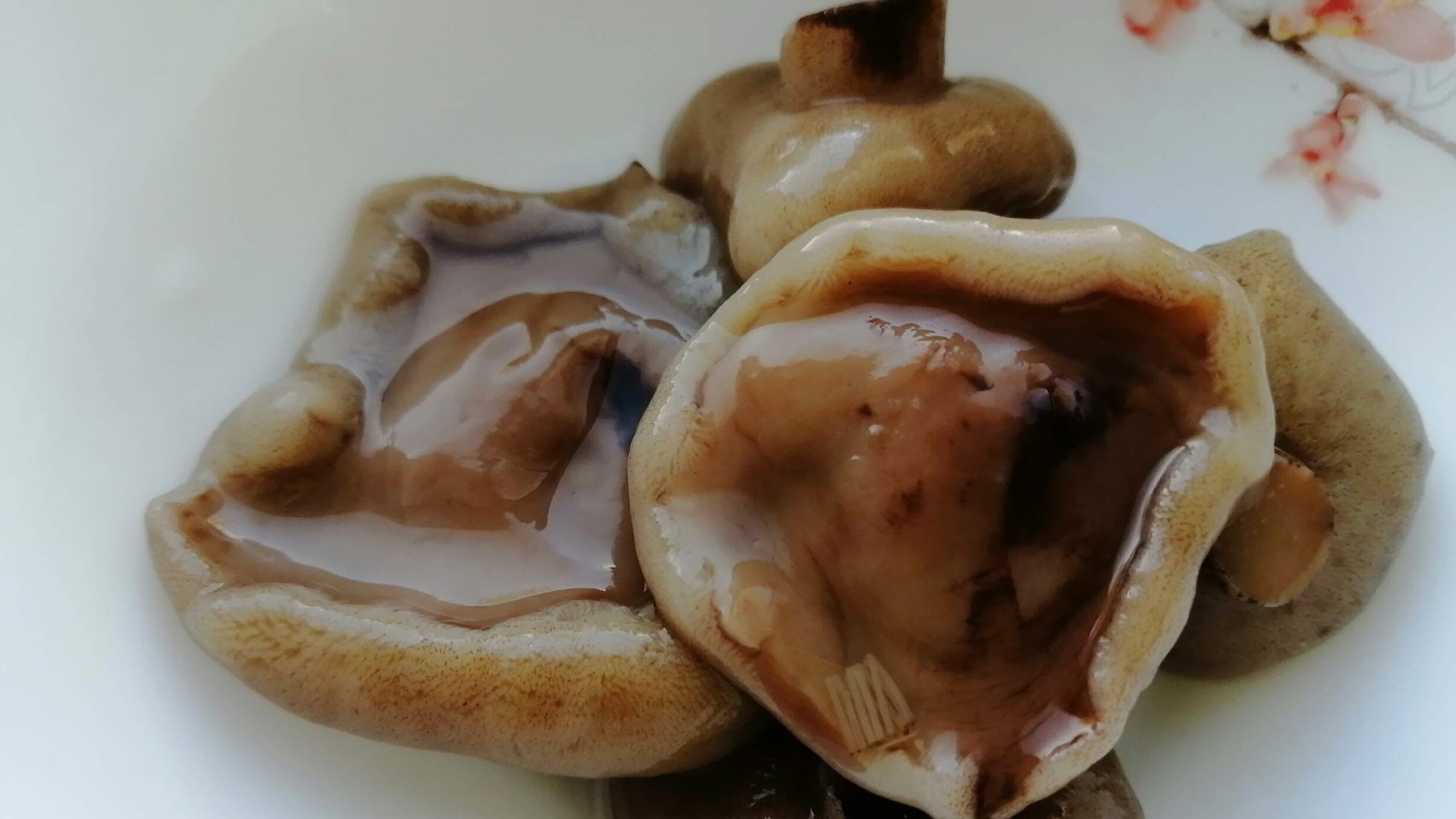 МАСЛЯТА с КАРТОФЕЛЕМ на СКОВОРОДЕ смотреть онлайн