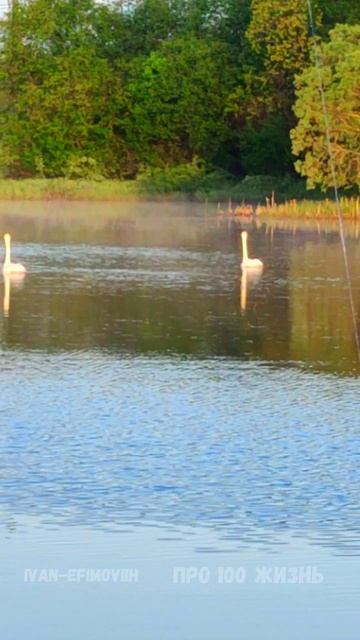 Про100 жизнь Пермский край