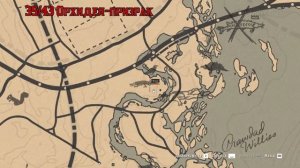 Артур Морган выполняет Травник 9 | Red Dead Redemption 2