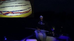 Рыбалка на квок. Ночные подъёмы сомов на эхолоте лоура