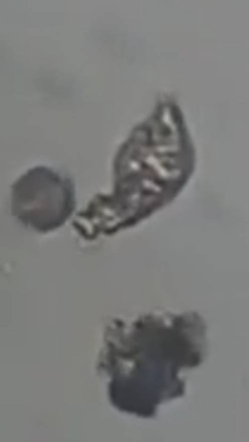 Коловратка жонглирует предметами смотреть онлайн