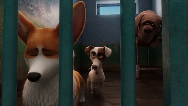 Королевский Корги.