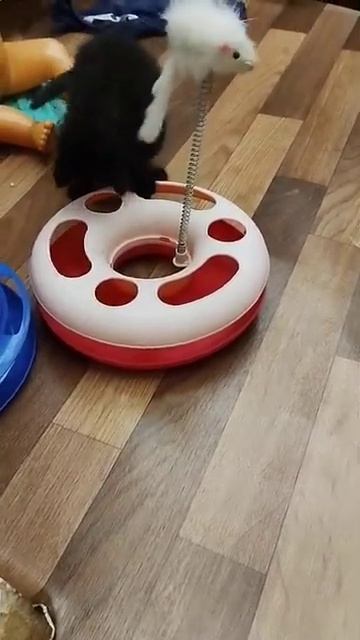 У всех детей должны быть игрушки! смотреть онлайн