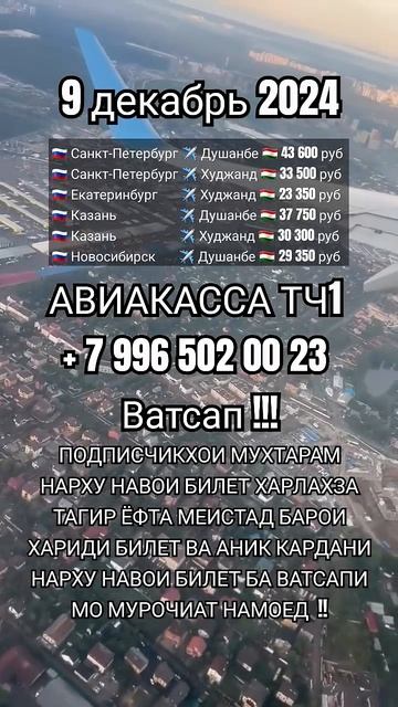 Нархи билет 9 декабря #aviakassa_tj1 #dushanbe #худжанд #куляб #бох смотреть онлайн