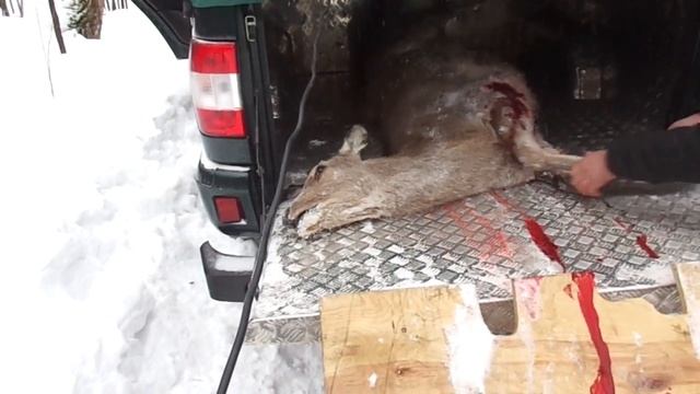 загрузка оленя лебедкой Brpclub.ru