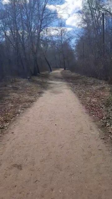 Берёзы смотреть онлайн