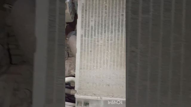 Уютные тренды